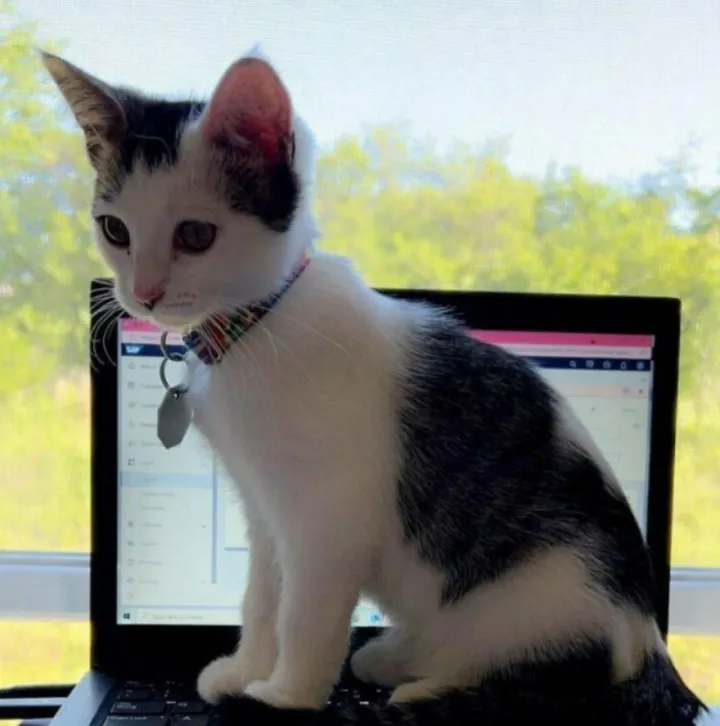 «Все, сегодня больше не работаешь».