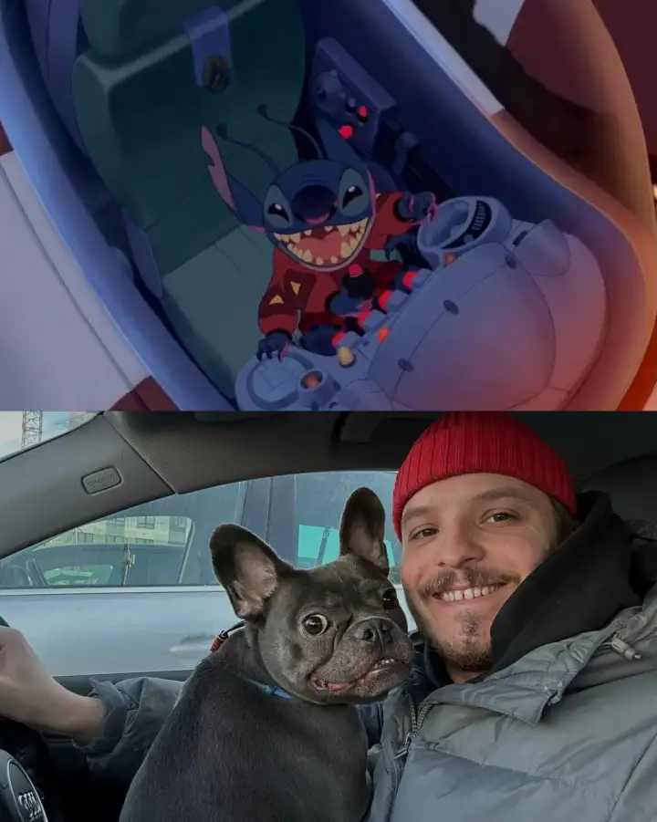 В машине такой же, как Стич.