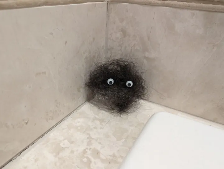 «Творение моего странного мужа».