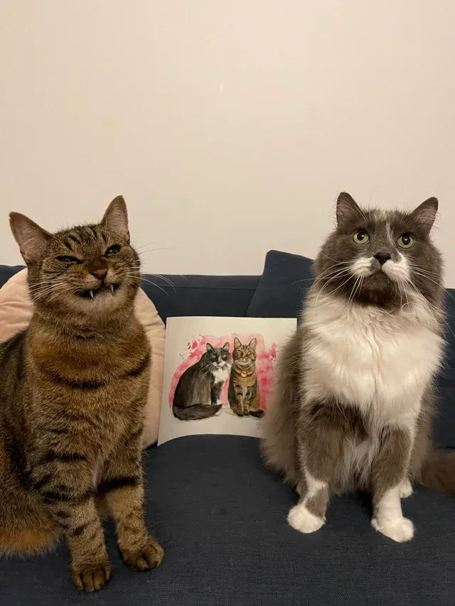 «Сфотографировали наших мальчиков с их нарисованным портретом».