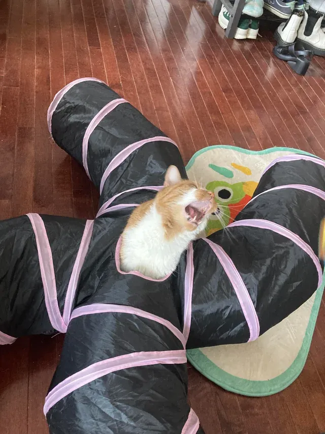 Ужасный монстр.