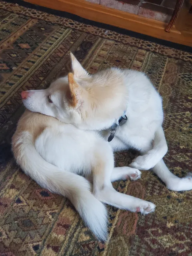 «Встроенная подушка».