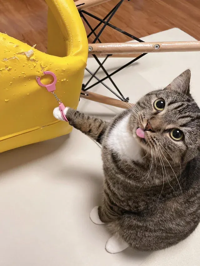 «Похоже, меня поймали».