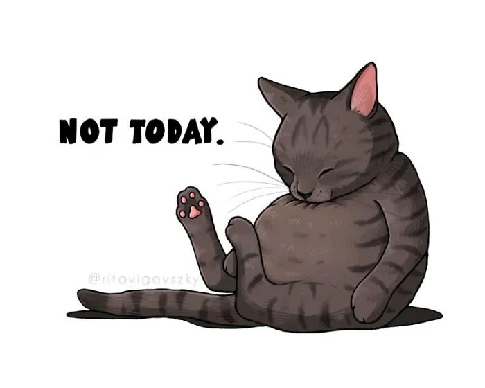 «Не сегодня».