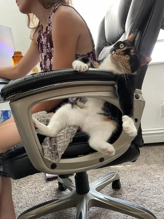 «Понедельники такие тяжелые».