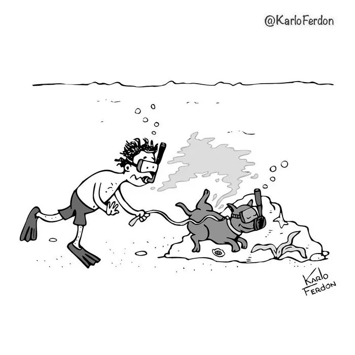 Дайвинг - не повод отлынивать от выгула собаки.