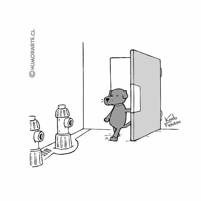 Собачий туалет.