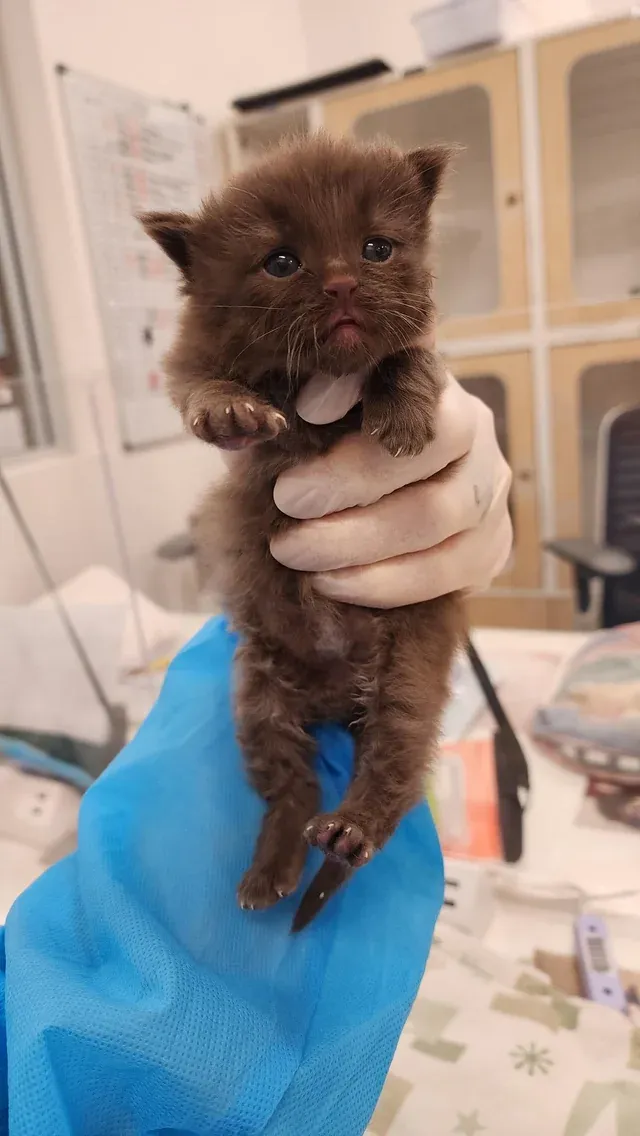 «Всем привет!»