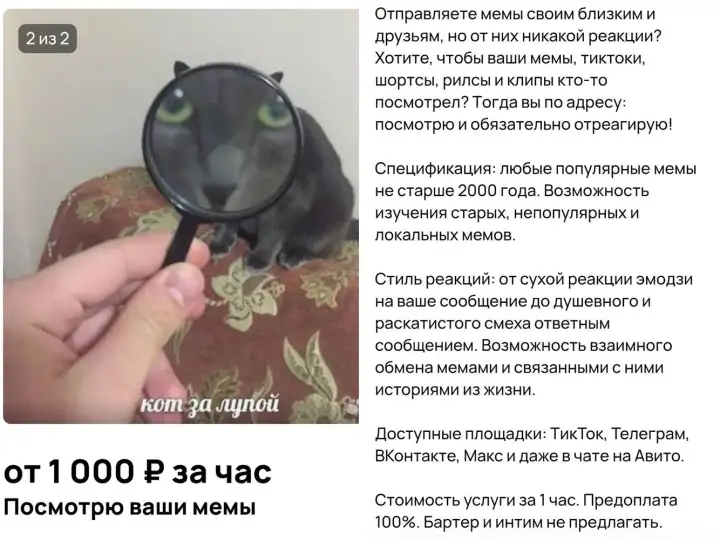 Скриншот объявления.