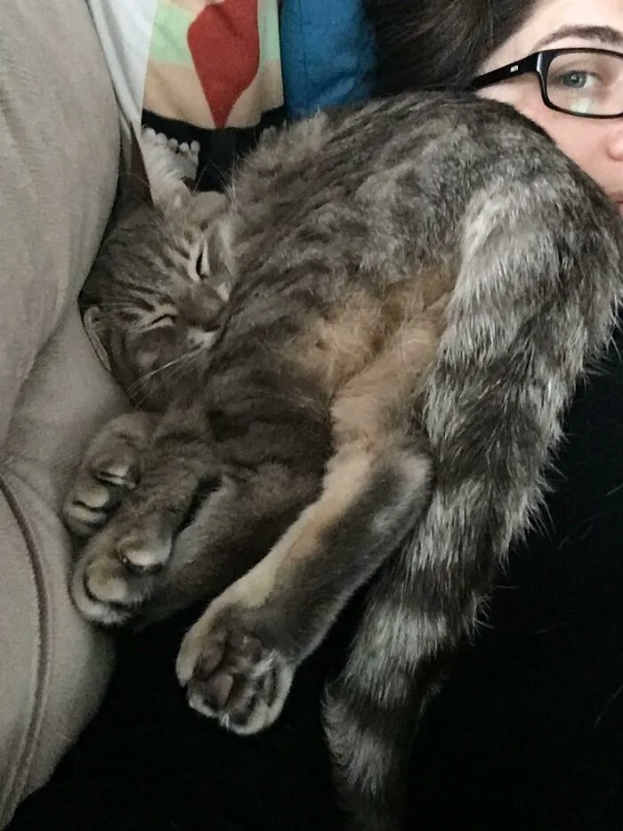 «Нас не было 10 дней. Я думаю, она скучала по нам».