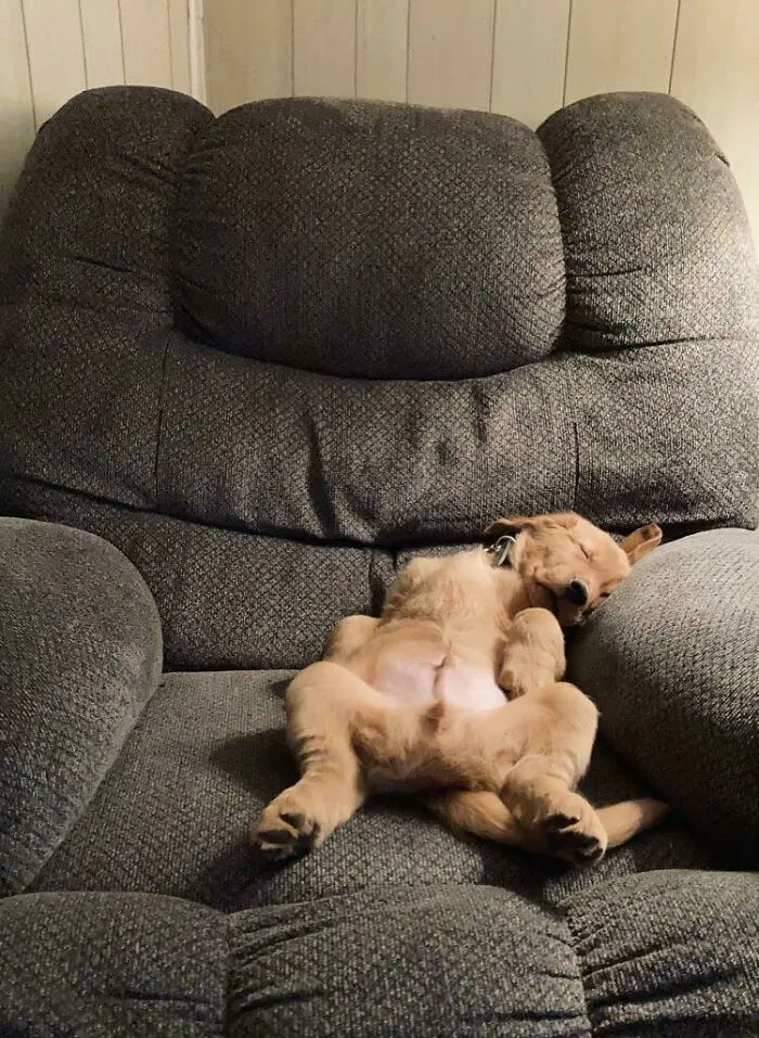 «Он устал».