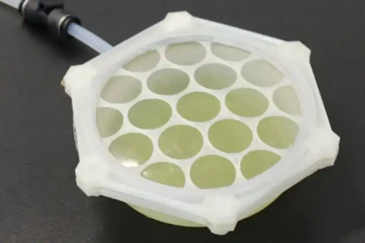 Прототип жилища, изготовленного из биопластика.