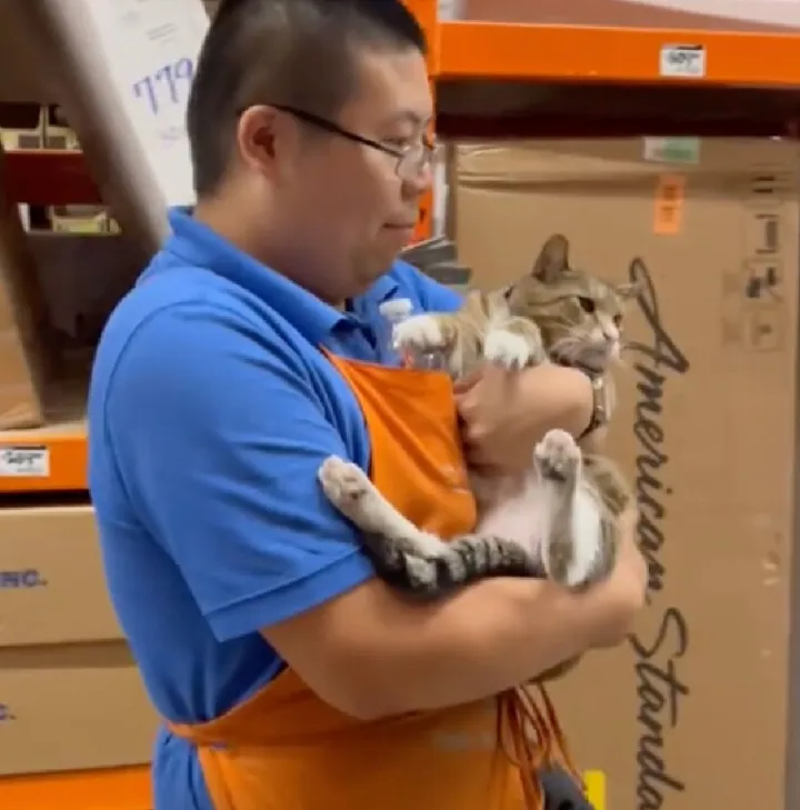 Кот Лео вместе со своим двуногим коллегой.