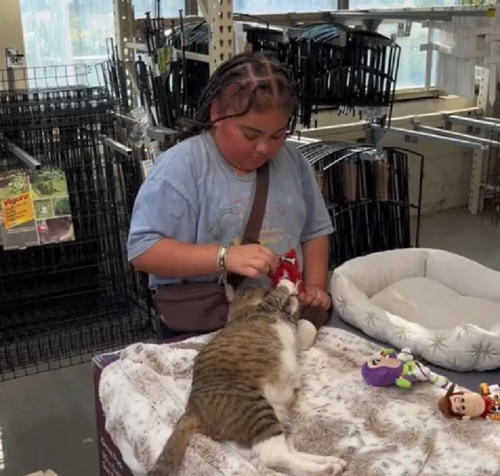 Посетители магазина очень любят играть с Лео.