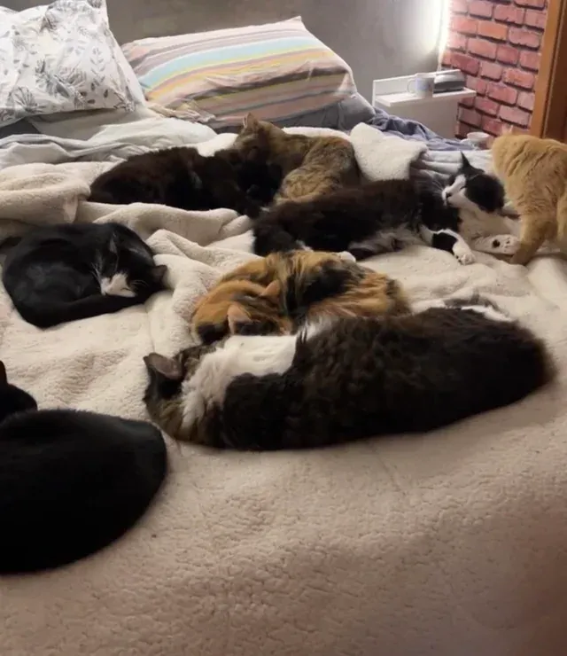 «Я спросил их, где я должен спать??»