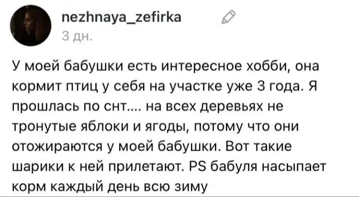 Пост внучки той самой бабушки.