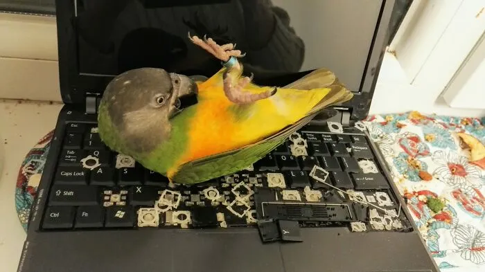 Утренняя зарядка.