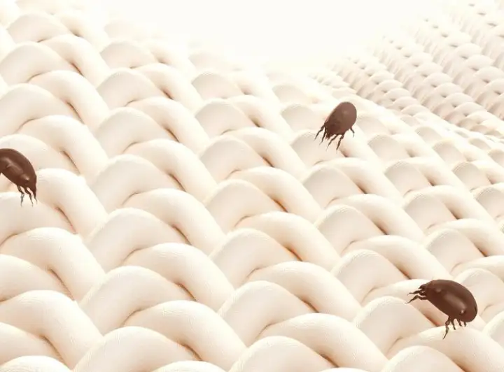 Компания заявляет, что одеяло безупречно борется с пылевыми клещами.