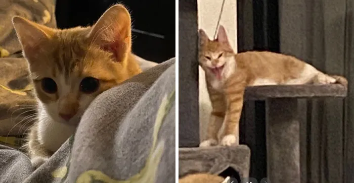 В него вселился демон суеты.