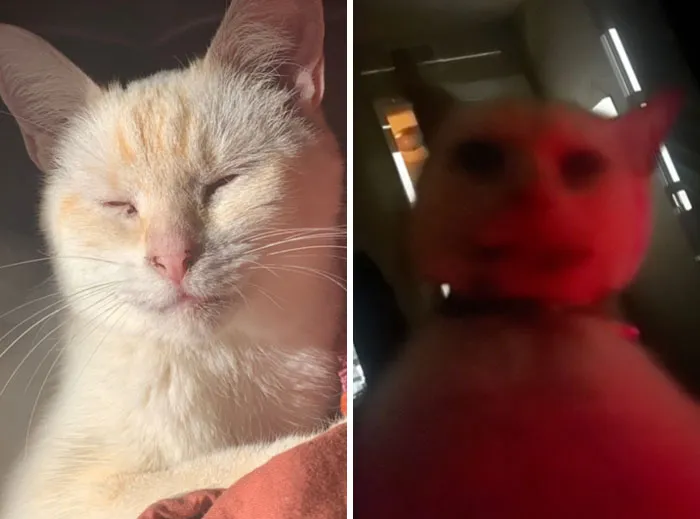 Жуть-то какая.