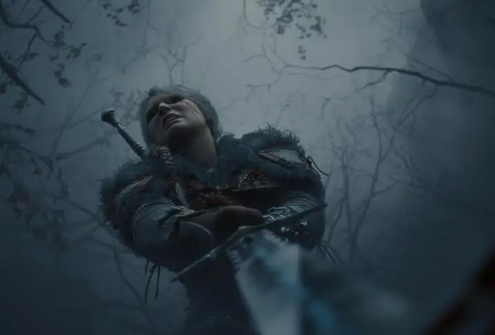 Вероятнее всего следующая игра о ведьмаках выйдет на консолях следующего поколения.