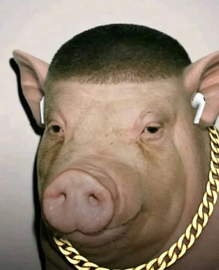 Хрюша-рэпер.