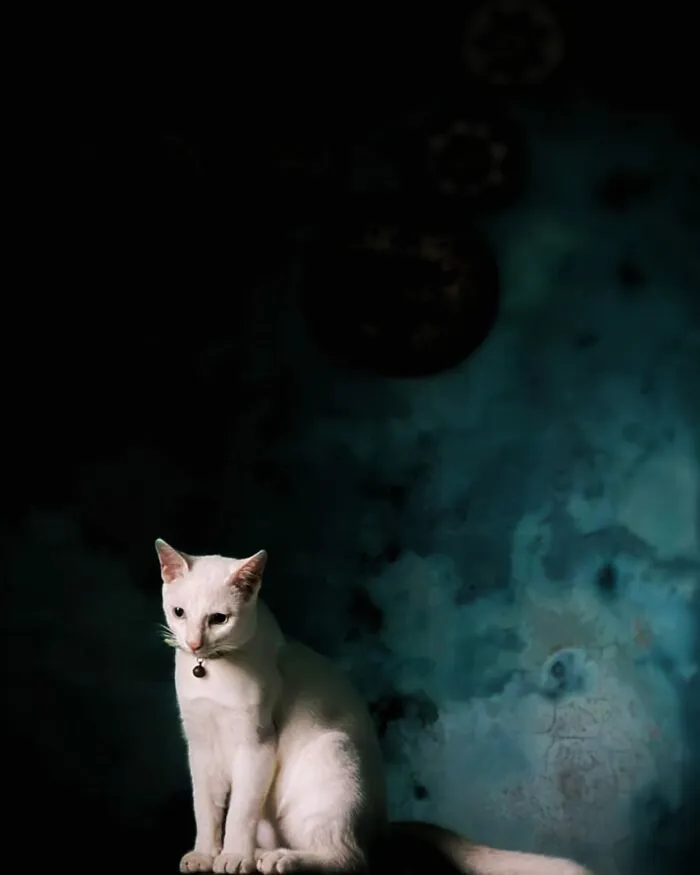 Очень эффектно.