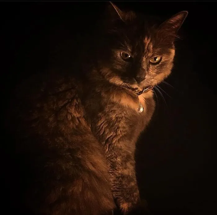 Потрясающий портрет.