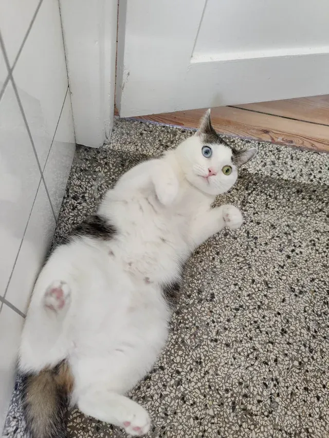 «Она провожала моего парня в туалет... Не думаю, что она была к этому готова».