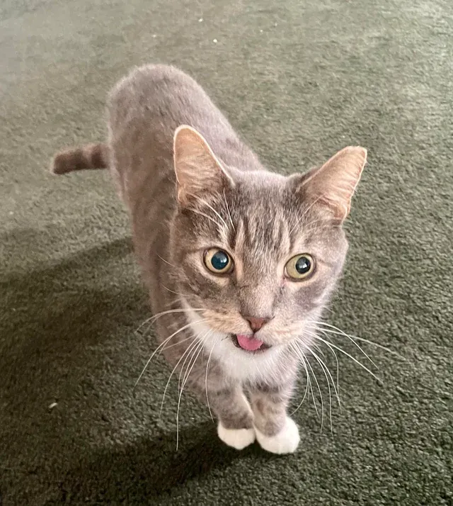 «Никаких мыслей».