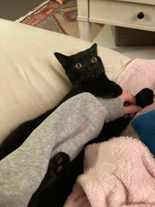 «Ничего нет, кроме шума ошибки Windows  на повторе».