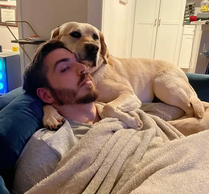 «Джоуль не имеет понятия о личном пространстве». 