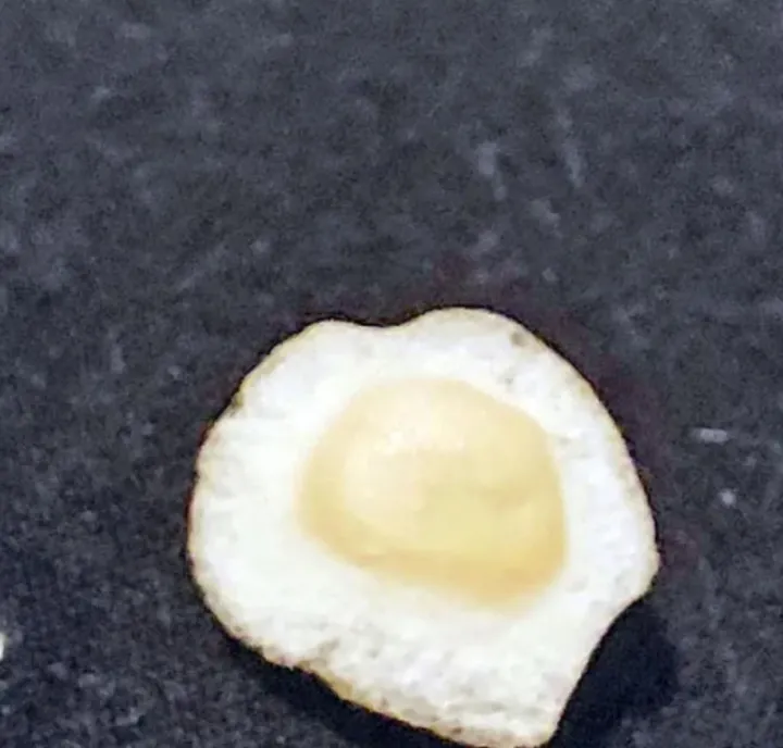 Камень или жареное яйцо?