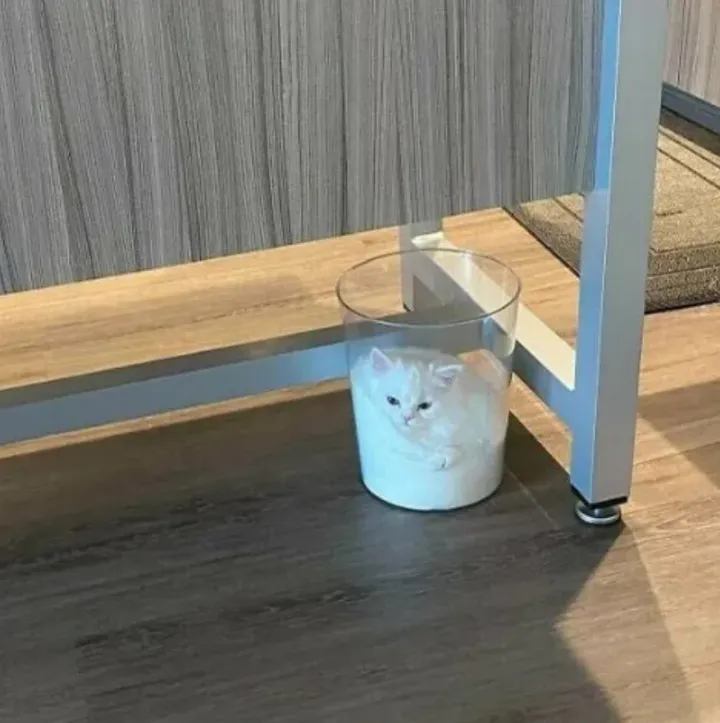 Стакан молока с глазками.