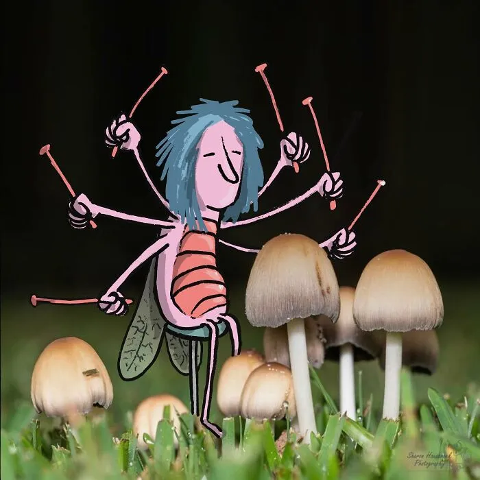 Грибное соло на ударных.