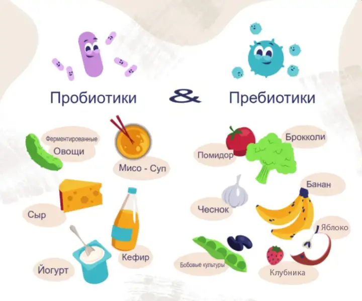 Пробиотики содержатся во многих продуктах питания.