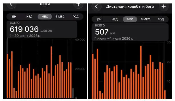 Сколько прошёл Евгений за месяц.