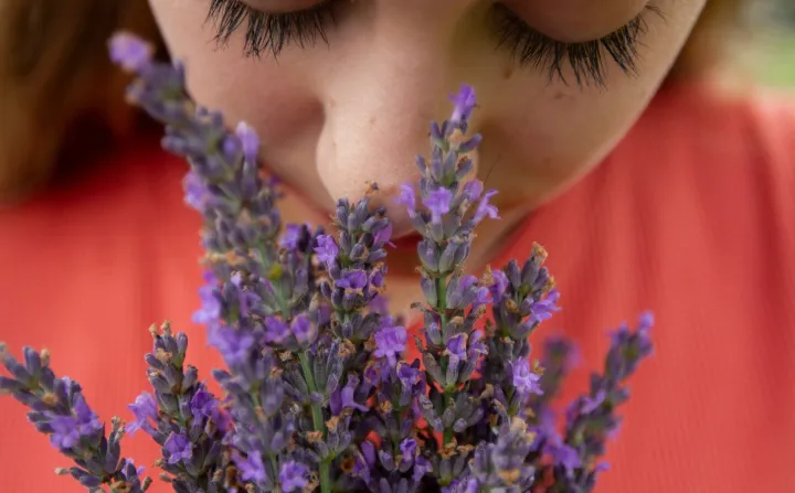 Девушка нюхает цветы.