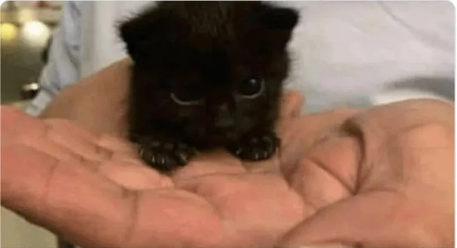 Тьма, разрушающая города.