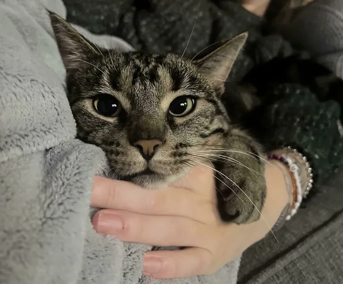 «Усыновили этого ангела».