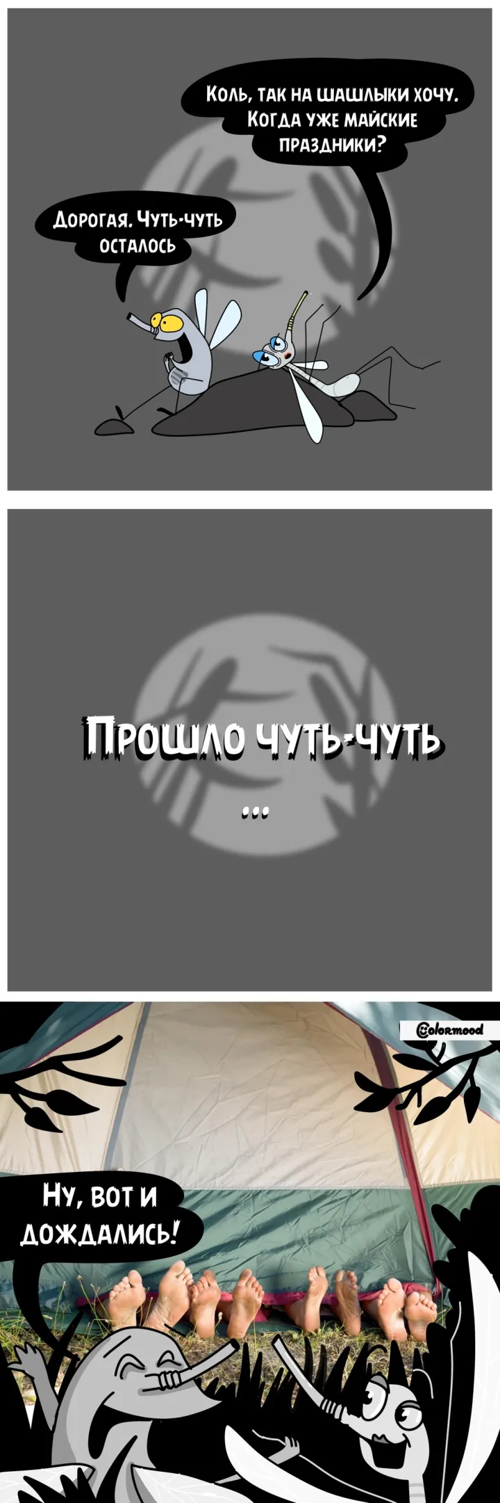 Не только люди ждут майские праздники. 