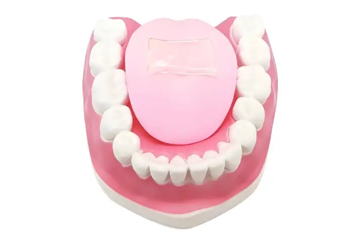 Устройство использует казеиновый белок из молока.