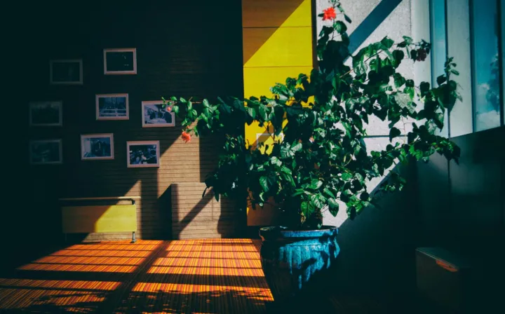 Дневной свет.