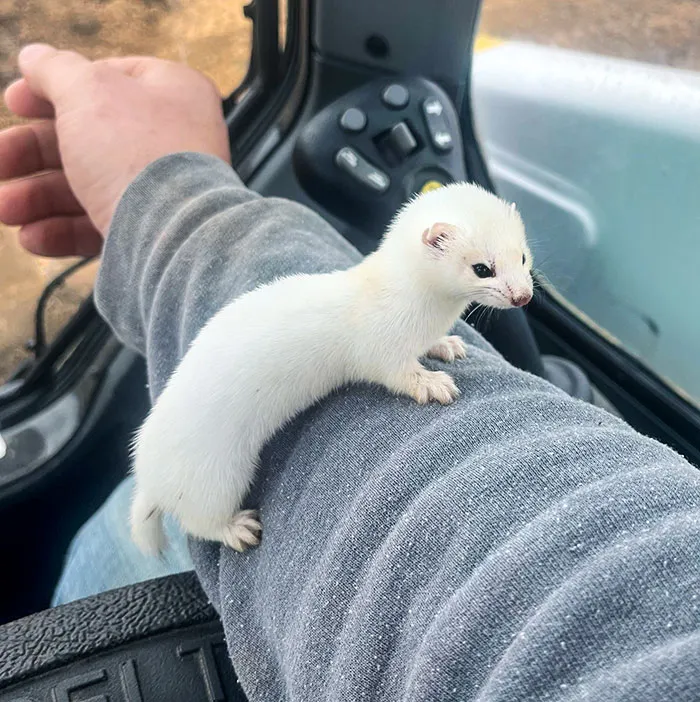 «Я нашел этого маленького парня сегодня на работе».