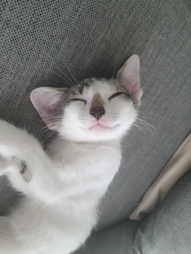 «Шторм что-то замышляет во сне»