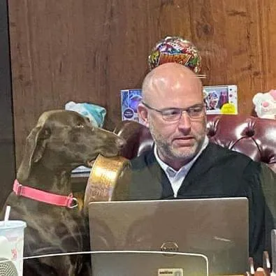 «На суде, который проходил по Zoom, судебная служебная собака допустила ошибку в середине слушания».