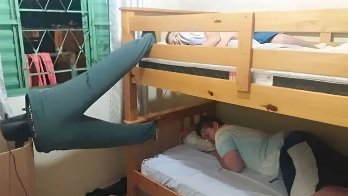 Они живут в 2050 году.