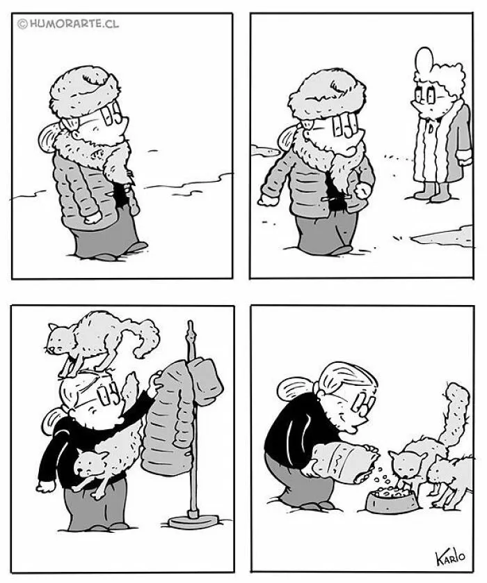 Кошки всегда рядом.