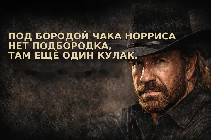 Под бородой Чака Норриса нет подбородка, там еще один кулак.