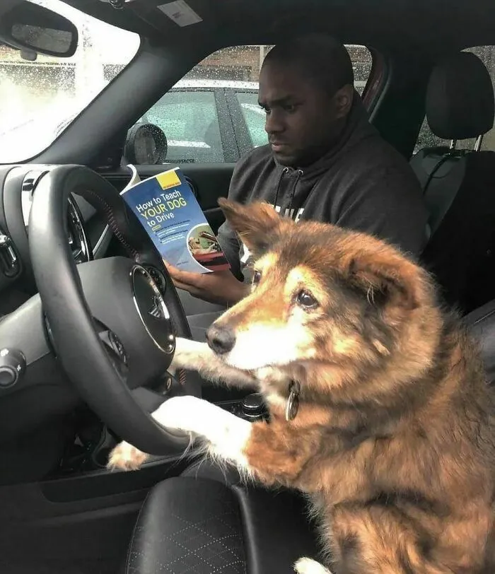 Надпись на книге: 